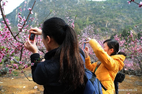 Visitors take photo of peach blossom in Dingxiao Town of Xingyi City, southwest China's Guizhou Province, March 9, 2013. (Xinhua/Chen Yunzhen) 