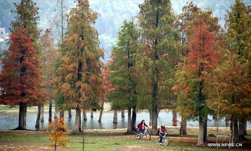 Two tourists ride bicycles at the Hong Village near Huangshan Mountain, east China's Anhui Province, Nov. 10, 2012. The beautiful scenery of Huangshan Mountain in the early winter has attracted many tourists. Photo: Xinhua