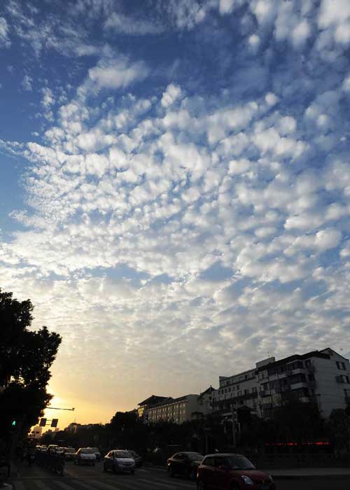 Photo taken on Oct. 12, 2012 shows altocumulus translucidus clouds in the sky of Suzhou, east China's Jiangsu Province. Altocumulus translucidus clouds scenery appeared in Suzhou on Friday as a cold front hit the area. Photo: Xinhua