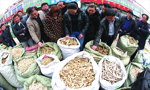 Traders shop for traditional Chinese medicine (TCM) in Bozhou, East China's Anhui Province Tuesday. TCM prices have risen sharply during the past few months. The price of Chinese Angelica, for instance, has surged 200 percent to 45 yuan ($7.24) per kilogram during the past six months. The current scarcity of TCM is the major reason behind the surge, experts said. Photo: CFP