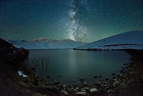 Low Light, Elmar Akhmetov, Kazakhstan  (Source: huanqiu.com)Starry tree by Elmar Akhmetov won the low-light section of the 2013 Sony World Photography Awards open category. The winning open-category photographs, announced on Tuesday, were selected from nearly 55,000 entries by amateurs around the world.