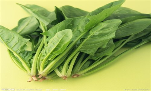 Spinach is highly recommended for the term of jingzhe.