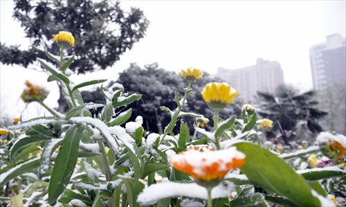 The solar term daxue heralds the beginning of falling temperatures. Photos: CFP 