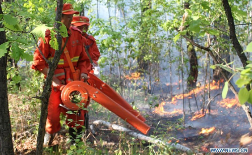 Firefighters battle flames at a fire scene in the Greater Hinggan Mountains in northeast China's Heilongjiang Province, June 2, 2012. A forest fire that started Saturday morning on a nature reserve in northeast China's Heilongjiang Province was put out at around 8 pm, according to the local forest fire prevention headquarters. Photo: Xinhua