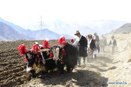 Farmers of the Tibetan ethnic group attend a ceremony to celebrate the starting of spring plowing at Weiba Village of Lhasa, capital of southwest China's Tibet Autonomous Region, March 16, 2013. (Xinhua/Liu Kun) 