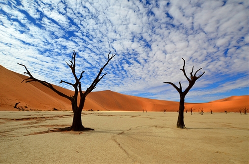 Dead Vlei, Nambia. (Photo: huanqiu.com)