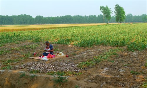 Inset: The girls' grandmother takes care of their cousin on their farmland in Wanlong county, Henan Province. Photo: Liu Dong/GT