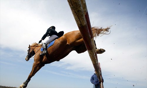 Caring for a horse can be a full-time job that requires the services of grooms and farriers, although there is no formal training for these professions in China. Photos: CFP