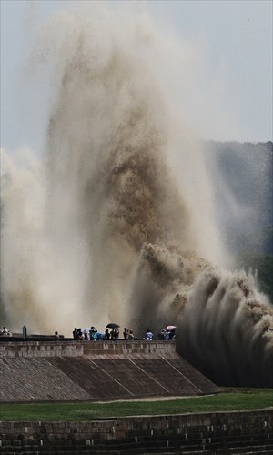 Tourists watch a 40-meter-tall wave in the Qiantang River in Haining, East China's Zhejiang Province on Friday. Local residents said they haven't seen waves this high before. The waves were influenced by typhoon Trami, the 12th to hit China this year. The tide in the Qiantang River reaches its highest level during the seventh, eighth and ninth months of the Chinese lunar calendar each year. Watching waves at the Qiantang River has been a Chinese tradition for hundreds of years. Every year, thousands of tourists visit Qiantang River to watch or immerse themselves in the waves. Photo:IC