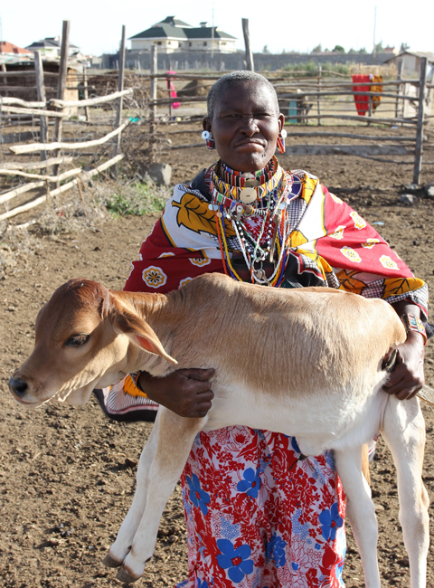 A A Kitengela woman holds a sheep with her hands near her home in the Maasai village outside of Nairobi, Kenya on February 10, 2013. Photo: Li Jian/GT