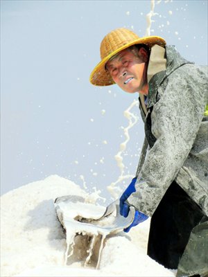 A man works in a salt field in Yancheng, East China's Jiangsu Province on Thursday. Yancheng, a major salt production base, kicked off its spring harvest at the beginning of May. The output of crude salt nationwide totaled 62.16 million tons in 2012, an increase of 3.66 percent compared to the previous year, according to the latest data from cbresearch.com. Photo: CFP