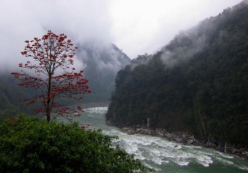  Photo taken on April 4, 2013 shows the landscape in Medog, southwest China's Tibet Autonomous Region. Located in the lower reaches of the Yarlung Zangbo river, Medog boasts of well-preserved environment and biodiversity. (Xinhua/Santa)