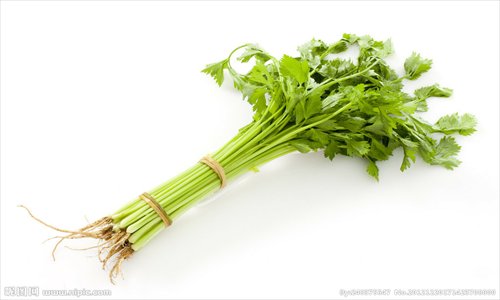 Celery is highly recommended for the term of jingzhe.