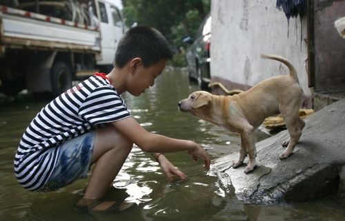 A boy plays with a dog in a flooded at a residential area in Ningbo, East China's Zhejiang Province, August 9, 2012. As typhoon Haikui landed in Hepu Town of Zhejiang's Xiangshan County early Wednesday, many roads and residential areas were waterlogged after torrential rains in Ningbo. Photo: Xinhua