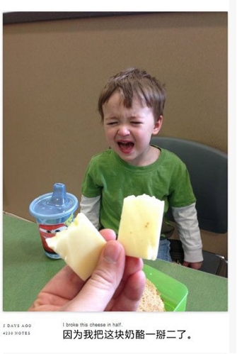 I broke this cheese in half.  (Photo: gb.cri.cn)