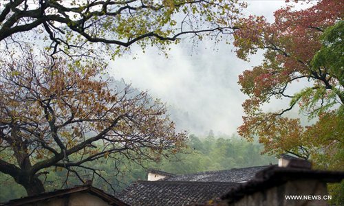 Photo taken on Nov. 10, 2012 shows the scenery near Tachuan scenic spot in the Huangshan Mountain area, east China's Anhui Province. The beautiful scenery of Huangshan Mountain in the early winter has attracted many tourists. Photo: Xinhua