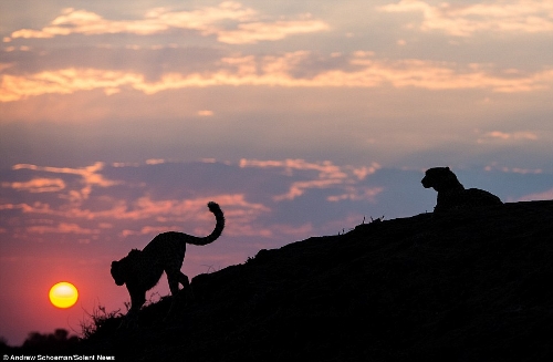 Photographer Andrew Schoeman, 40, captured this stunning collection of images across South Africa. (Photo Source: huanqiu.com)