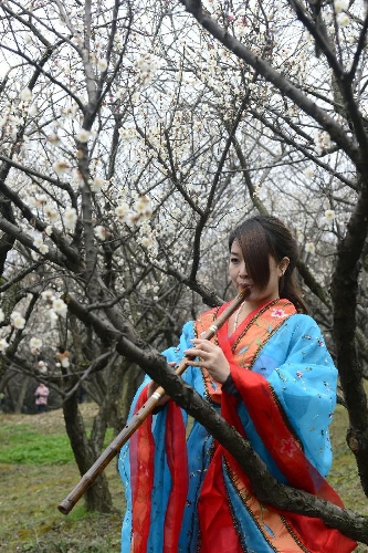 A girl wearing traditional Chinese costumes plays Xiao, a vertical bamboo flute, under the plum blossoms at Xixi Wetland Park during a plum blossom festival in Hangzhou, capital of east China's Zhejiang Province, Feb. 17, 2013. The festival opened here Sunday. (Xinhua/Li Zhong) 