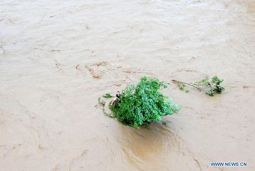 A trapped person waits for rescue in Liaoyang, Northeast China's Liaoning Province, August 4, 2012. Two helicopters of Beihai Rescue Flying Squad has rescued 24 people trapped by the rain-triggered flood in Liaoyang till 6 pm Saturday. Photo: Xinhua