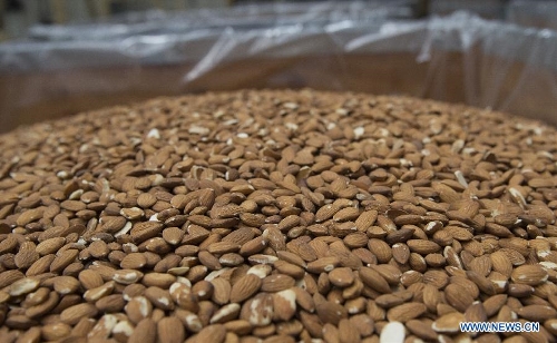 Shelled almonds are seen at an almond processing plant in Modesto, California, the United States, on March 19, 2013. In the U.S., almonds production is mainly concentrated in California with an output of 916,000 tons in 2011/12, about 11 percent of which were exported to China. (Xinhua/Yang Lei) 