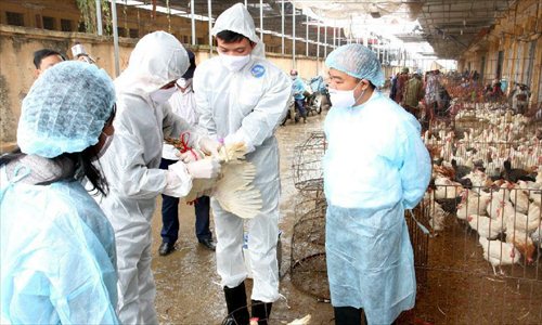 Veterinary workers take samples from poultry for tests in Hanoi, capital of Vietnam, April 11, 2013. A 4-year-old boy died of avian influenza strain H5N1 in Vietnam's southern Dong Thap province on Tuesday, in a first case of death by the virus in over a year in Vietnam, local media reported on Wednesday. (Xinhua/VNA)  