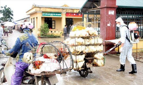 A veterinary worker sanitizes poultry in Hanoi, capital of Vietnam, April 11, 2013. A 4-year-old boy died of avian influenza strain H5N1 in Vietnam's southern Dong Thap province on Tuesday, in a first case of death by the virus in over a year in Vietnam, local media reported on Wednesday. (Xinhua/VNA) 