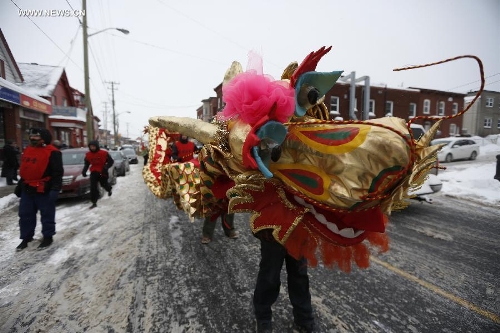 Ottawa's Chinatown celebrates Lunar New Year - Global Times