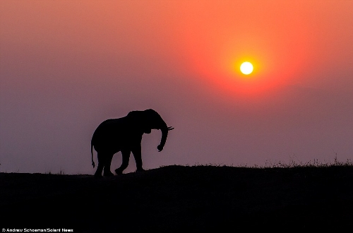 Photographer Andrew Schoeman, 40, captured this stunning collection of images across South Africa. (Photo Source: huanqiu.com)