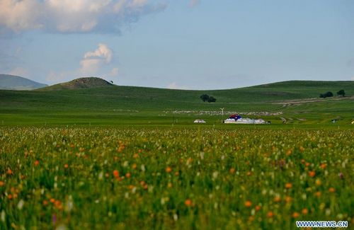 Photo taken on July 17, 2012 shows the Xilin Gol grassland in North China's Inner Mongolia Autonomous Region. Photo: Xinhua