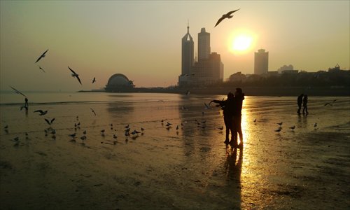 Tourists feed seagulls on the beach.Photos: Chen Xiaoru/GT