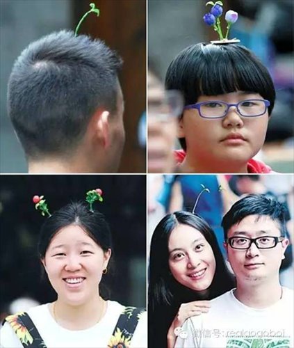 chinese head sprout