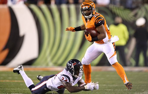 Bengals Suffer Season’s 1st Defeat - Global Times