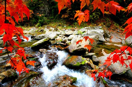 top-10-places-to-see-autumn-leaves-in-china-global-times