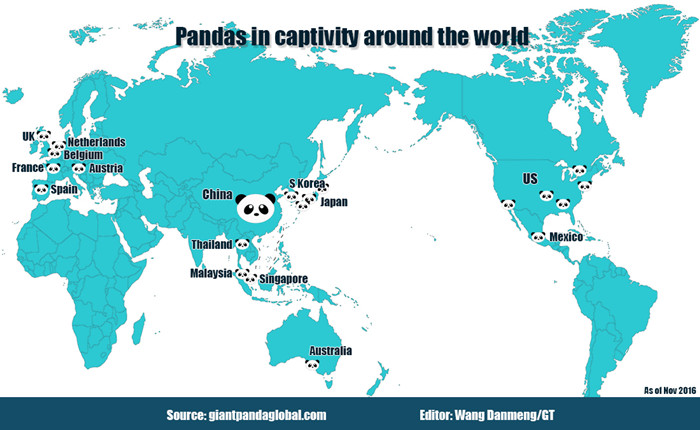 pandas-going-overseas-as-friendly-ambassadors - Global Times