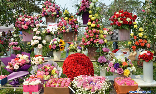 Rose Festival Marked In Hanoi Vietnam Global Times