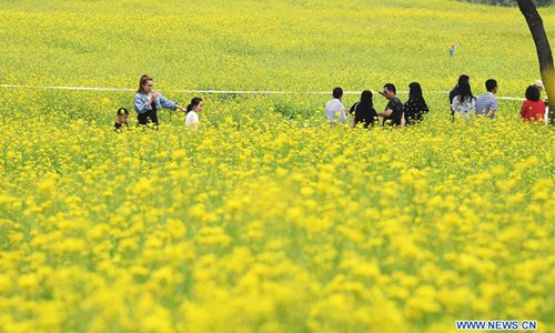 Tourists have fun at cole flower fields in China’s Shanxi - Global Times