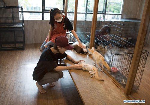 Animal Cafe in Bangkok, Thailand - Global Times