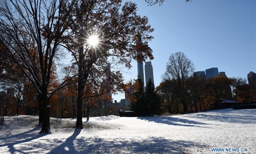 First Snowfall Hits New York - Global Times