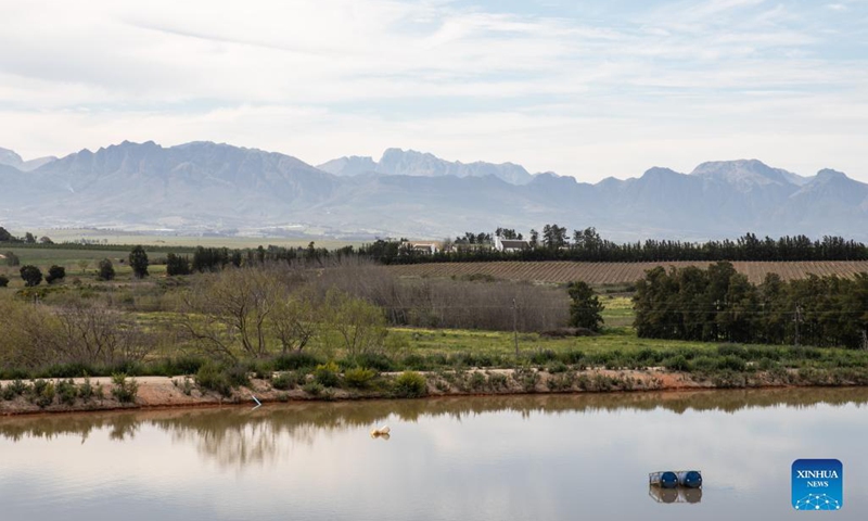 South African Wine Farms Join In Efforts For Land Conservation Global