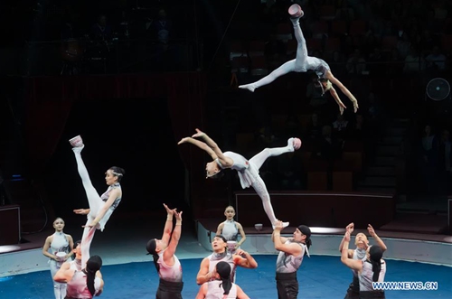 Chinese acrobats perform at Budapest International Circus Festival in  Budapest, Hungary - Global Times