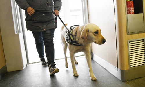 how much does it cost to fully train a guide dog