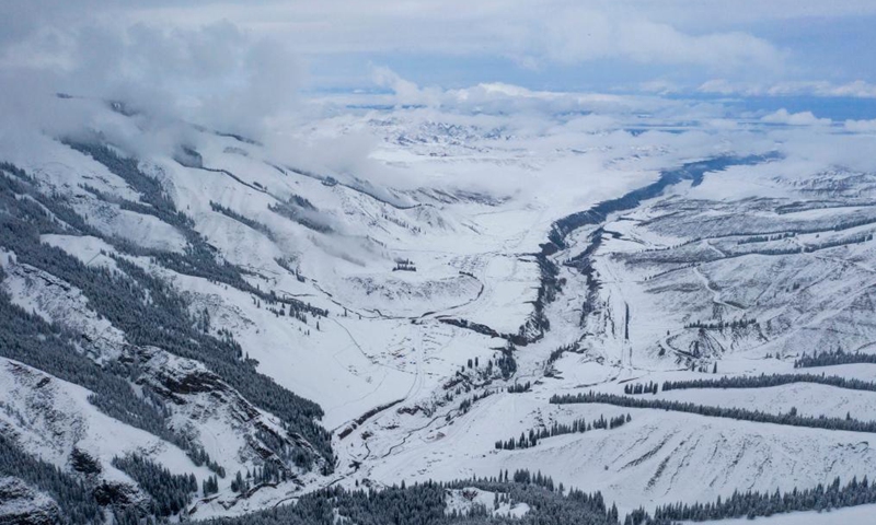 Aerial photo shows the snow-covered forest of Tianshan Mountains in Shawan City, northwest China's Xinjiang Uygur Autonomous Region, March 30, 2021.Photo:Xinhua