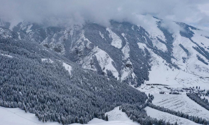 Aerial photo shows the snow-covered forest of Tianshan Mountains in Shawan City, northwest China's Xinjiang Uygur Autonomous Region, March 30, 2021.Photo:Xinhua