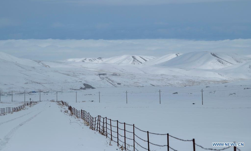 Aerial photo shows the snow-covered forest of Tianshan Mountains in Shawan City, northwest China's Xinjiang Uygur Autonomous Region, March 30, 2021.Photo:Xinhua