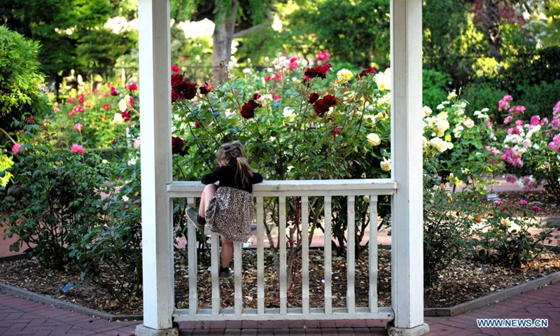 A child plays at a park in San Mateo, California, the United States, May 28, 2021.Photo:Xinhua