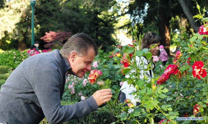 A man sniffs at a flower at a park in San Mateo, California, the United States, May 28, 2021.Photo:Xinhua