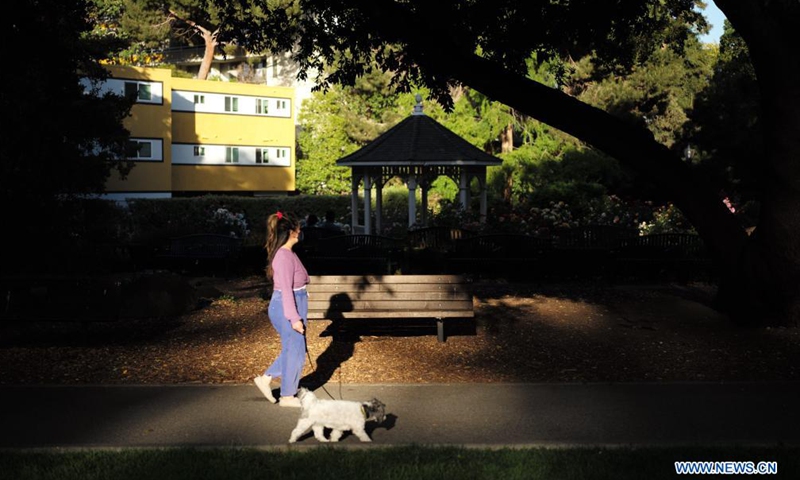 A woman walks her dog at a park in San Mateo, California, the United States, May 28, 2021.Photo:Xinhua