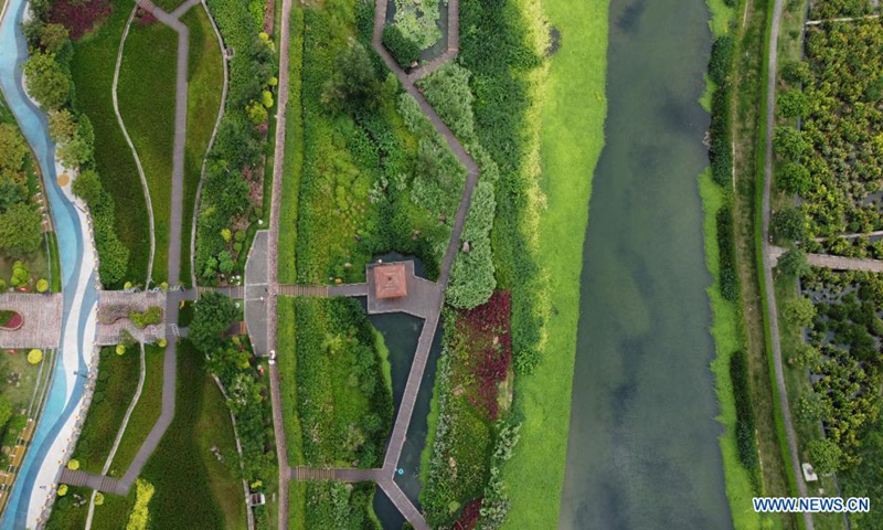 Aerial photo taken on June 3, 2021 shows the scenery of the Nakao River wetland park in Nanning, south China's Guangxi Zhuang Autonomous Region. Photo: Xinhua