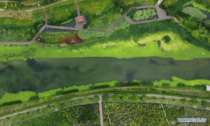 Aerial photo taken on June 3, 2021 shows the scenery of the Nakao River wetland park in Nanning, south China's Guangxi Zhuang Autonomous Region. Photo: Xinhua