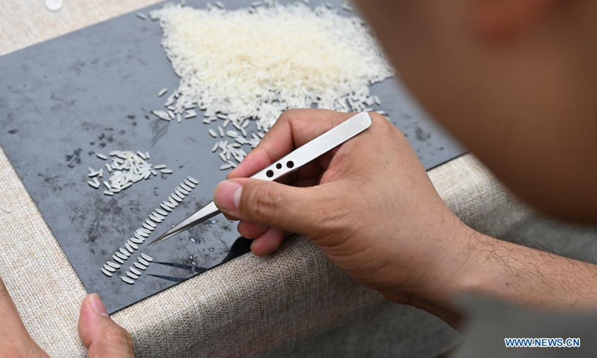 Chen Guorui puts rice grains in order before making rice craftwork in Gaolou Village, Fuzhou City of southeast China's Fujian Province, May 21, 2021. (Xinhua/Song Weiwei)